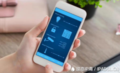 解析動態IP代理在手機中的用途