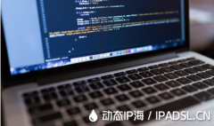 哪種方式可以獲取動態IP地址？