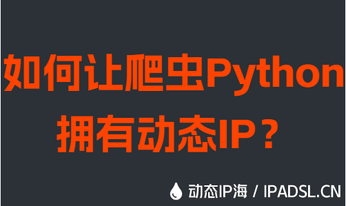 如何讓爬蟲(chóng)Python擁有動(dòng)態(tài)IP？